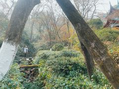 -岳麓山风景名胜区