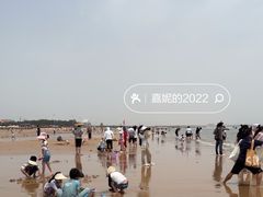 -日照海滨国家森林公园