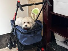 -龙森园火锅(琴台路店)
