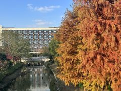 -上海浦江郊野公园-2号停车场