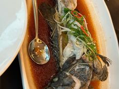 -英冠索菲特酒店·萧湘阁中餐厅
