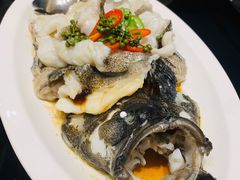 青花椒蒸龙胆鱼-闽和南(深圳万象城店)