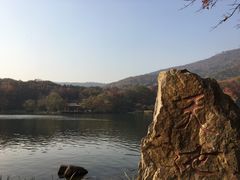 -紫霞湖公园
