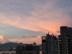 -香港大学