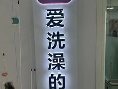 -爱洗澡的猫(望京店)