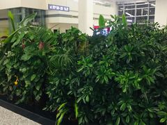 -石家庄正定国际机场-T2航站楼