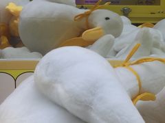-风云再起游乐汇(皇城恒隆广场店)