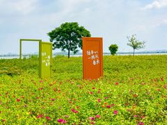 -小陆莲花蟹园农家乐(莲花岛店)