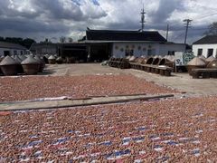 -苏州市吴中区光福窑上花果蜜饯厂