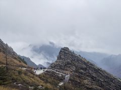 -朱雀国家森林公园