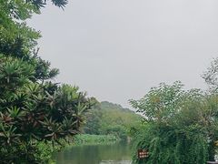 -桂湖森林公园