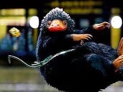 -星美国际影商城(虹口店)