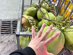 -三亚新鸿港水果一级批发市场