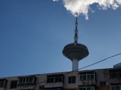 -辽宁电视塔