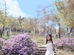 -天适樱花悠乐园