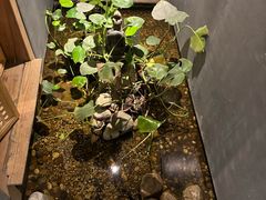 -邈墨茶馆(凤起路店)