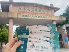 -广东茂名森林公园