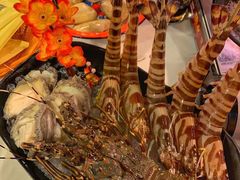 -鲜入围煮花胶鸡海鲜火锅