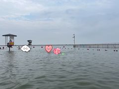 -碧海金沙