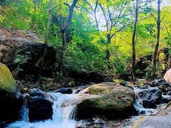 -云岫谷游猎自然风景区