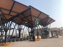 -上海长兴岛郊野公园