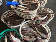 -中国舟山国际水产城