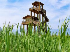 -野鸭湖国家湿地公园