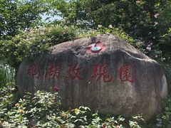 -鹅湖玫瑰文化园