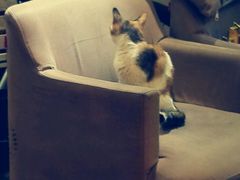 -看书吧(体育东横路店)