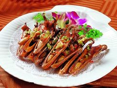 -月圆霖特色农家乐
