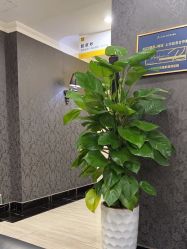 -深圳阳光医疗美容医院·旗舰店