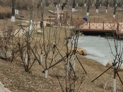 -丁香湖公园