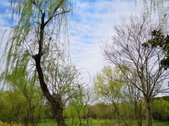 -蜀冈西峰生态公园