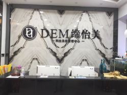 -DEM缔怡美科技美容