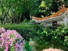 -人民公园(罗湖区)