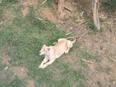 -泉州海丝野生动物世界