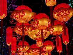 -武汉园博园(武汉自然博物馆)