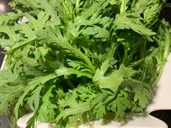 -锅说大脸毛肚重庆老火锅(佐阾店)