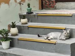 -猫岛主趣味餐厅(鼓浪屿店)