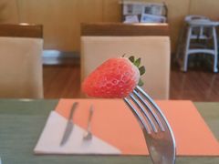 -上海浦东假日酒店