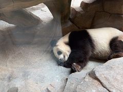 -宁波野生动物园