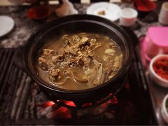 -蘑统田下·野生菌火锅