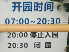 -嘉定紫藤园