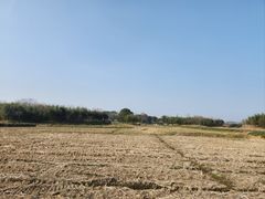 -良渚古城遗址公园
