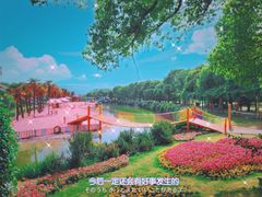 -苏州太湖西山岛开心农场