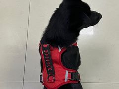 -福州肆爪动物医院