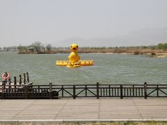 -野鸭湖国家湿地公园