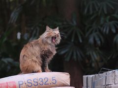 -晓港公园