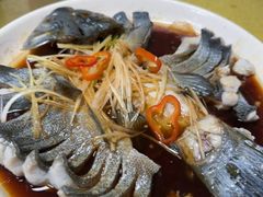 -煲来饱去冷水鱼