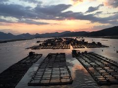 -北岐滩涂